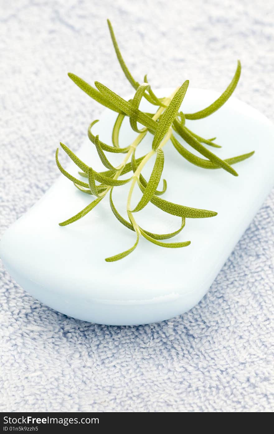 Soap With Rosemary