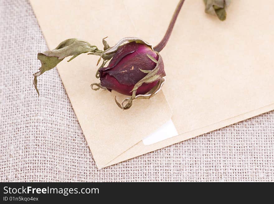 Dry red rose on letter. Dry red rose on letter