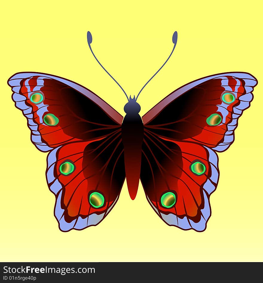 Vector Illustration of detailed Brightly coloured butterfly.