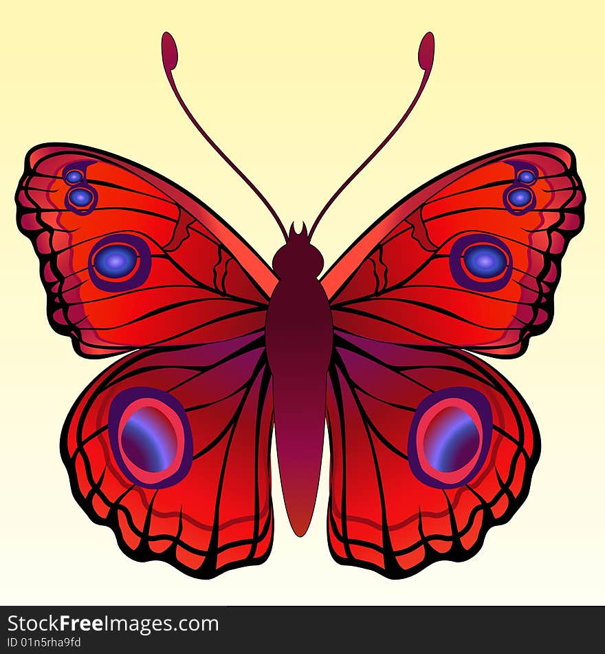 Vector Illustration of detailed Brightly coloured butterfly.