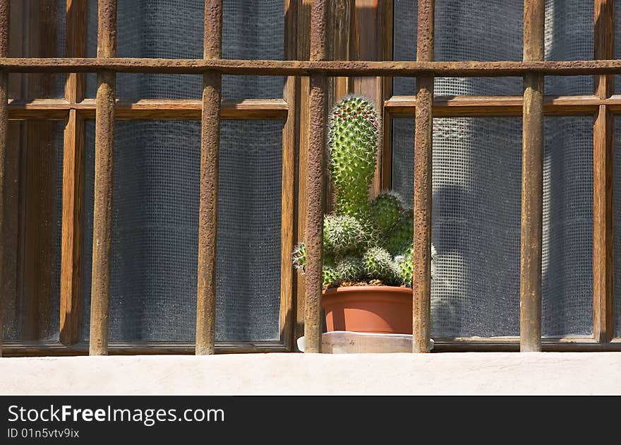 Vase of flowers to the window grate. Vase of flowers to the window grate