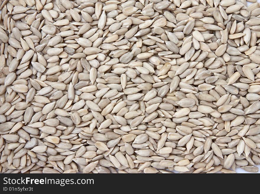 Sunflower kernels