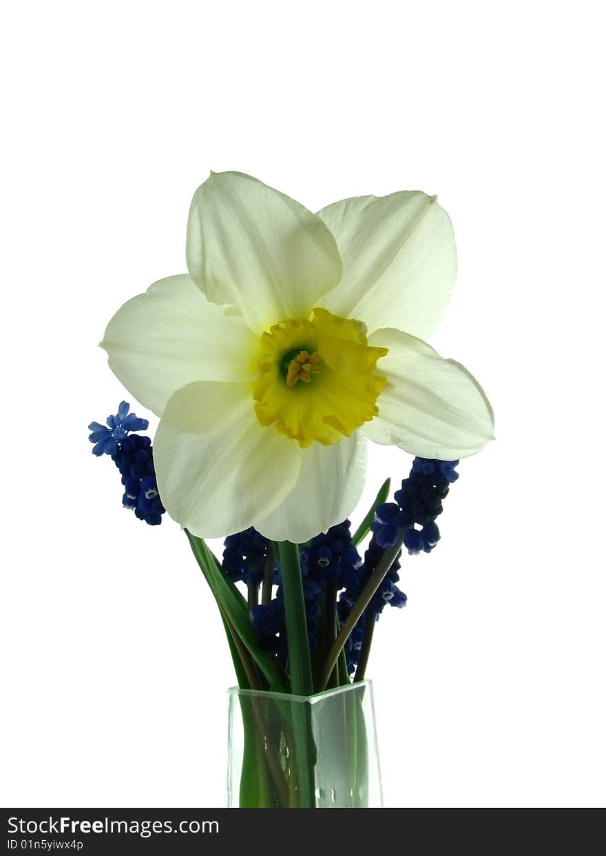 Narcissus and blue flowers in a vase.