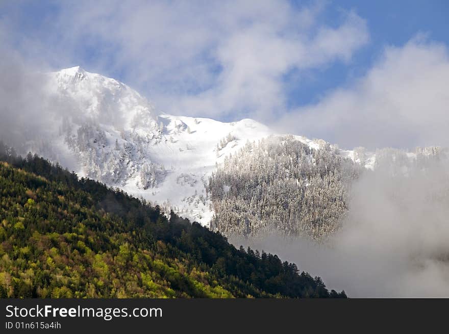 Snow in Spring