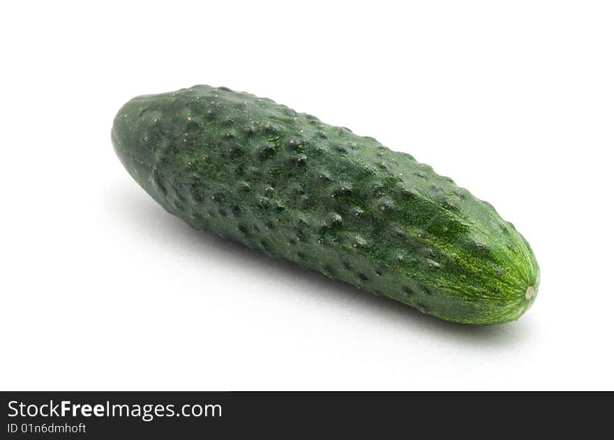 Cucumber