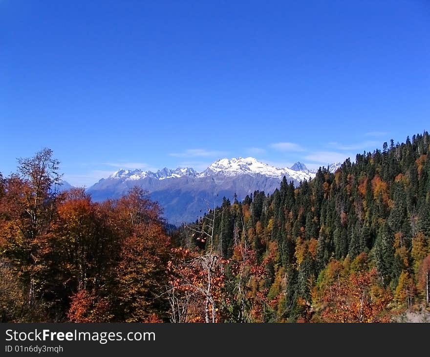 Caucasian autumn