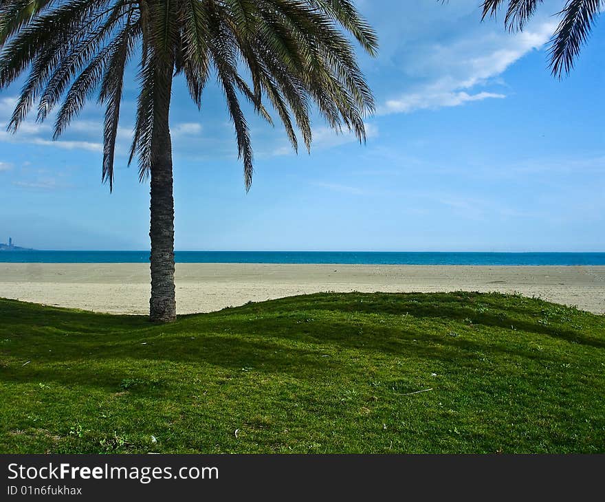 Beach and sea view from under a palm tree. Beach and sea view from under a palm tree