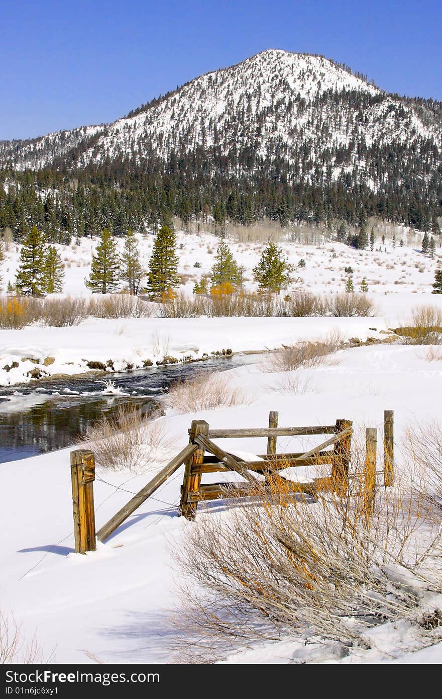 Winter scene of HWY 4