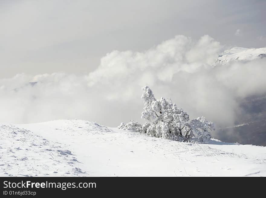 Winter in the mountains