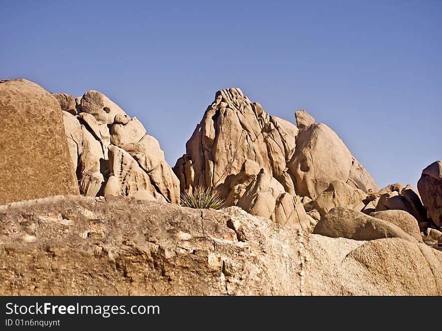 These are desert boulders at Joshua Tree National Park