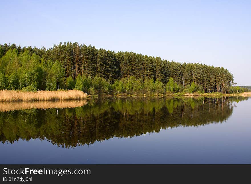 Trees on bank of lake, water, park, spring. Trees on bank of lake, water, park, spring.