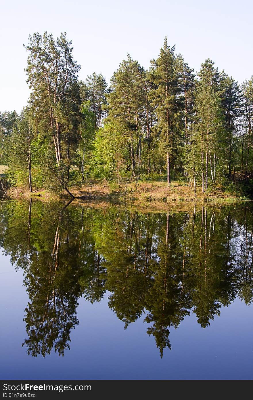 Trees on bank of lake, water, park, spring. Trees on bank of lake, water, park, spring.