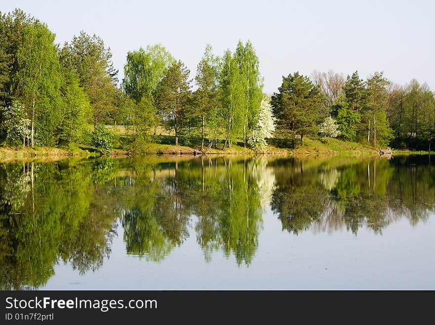 Trees on bank of lake, water, park, spring. Trees on bank of lake, water, park, spring.