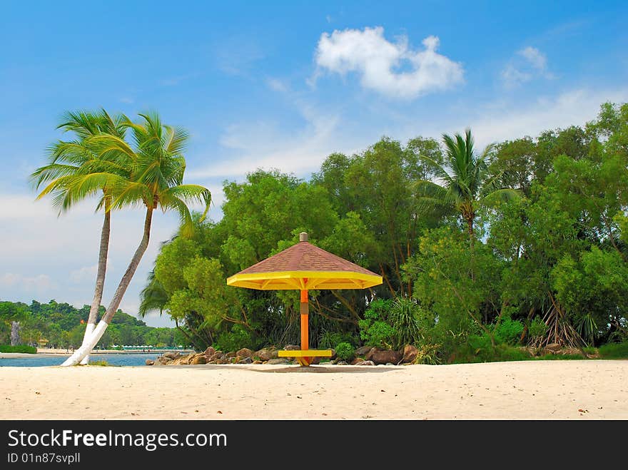 Tropical coconut trees, symbolizing holiday and leisure, and a quaint hut on a sandy beach. Tropical coconut trees, symbolizing holiday and leisure, and a quaint hut on a sandy beach