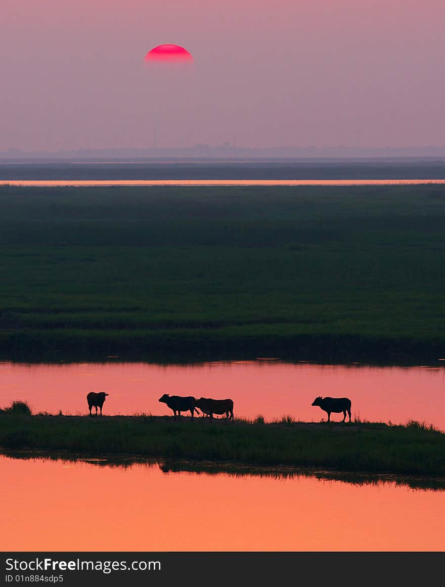 The beautiful view at sunset. The beautiful view at sunset