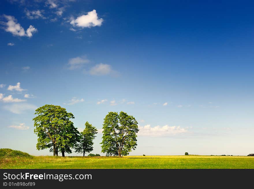 Panorama of meadow and  a few distant trees. Panorama of meadow and  a few distant trees