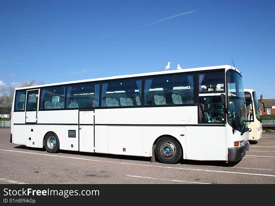 White coaches with seagulls on roof