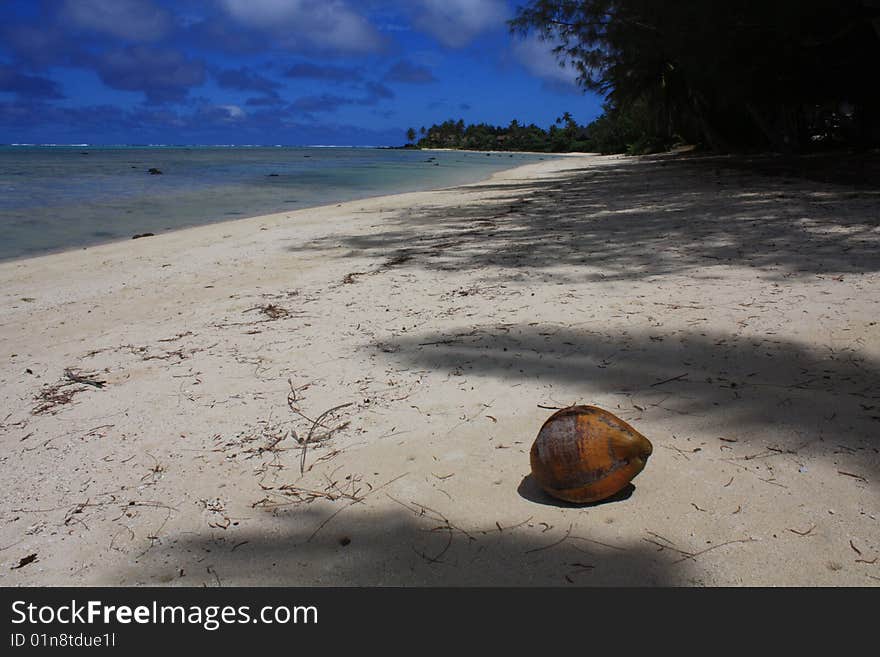 A lonely coconut on a deseted beach in the Cook Islands.