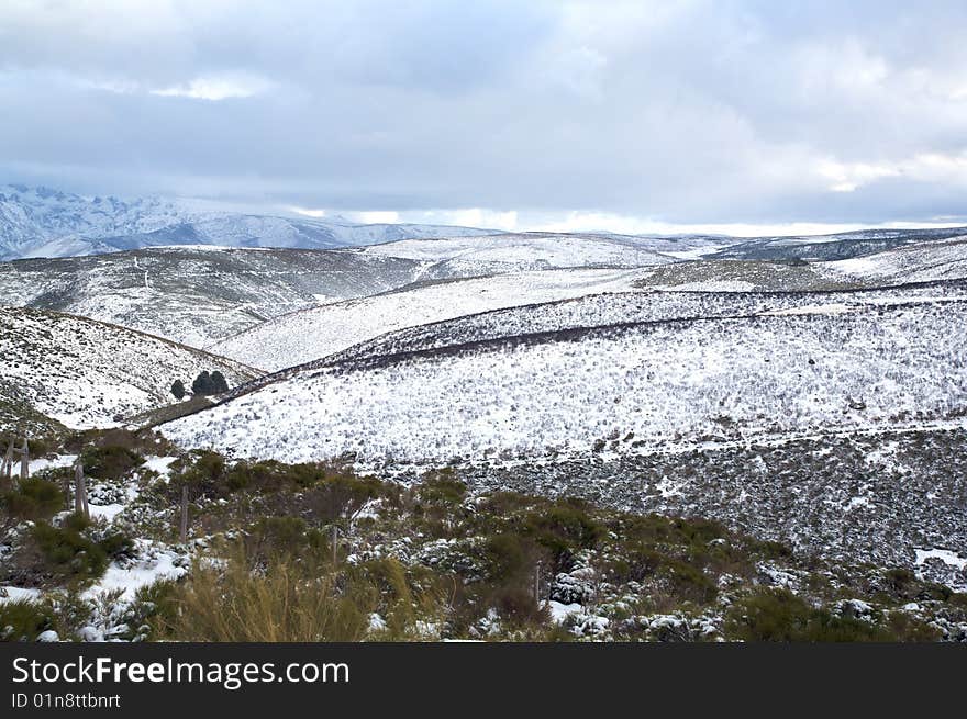 Winter Landscape