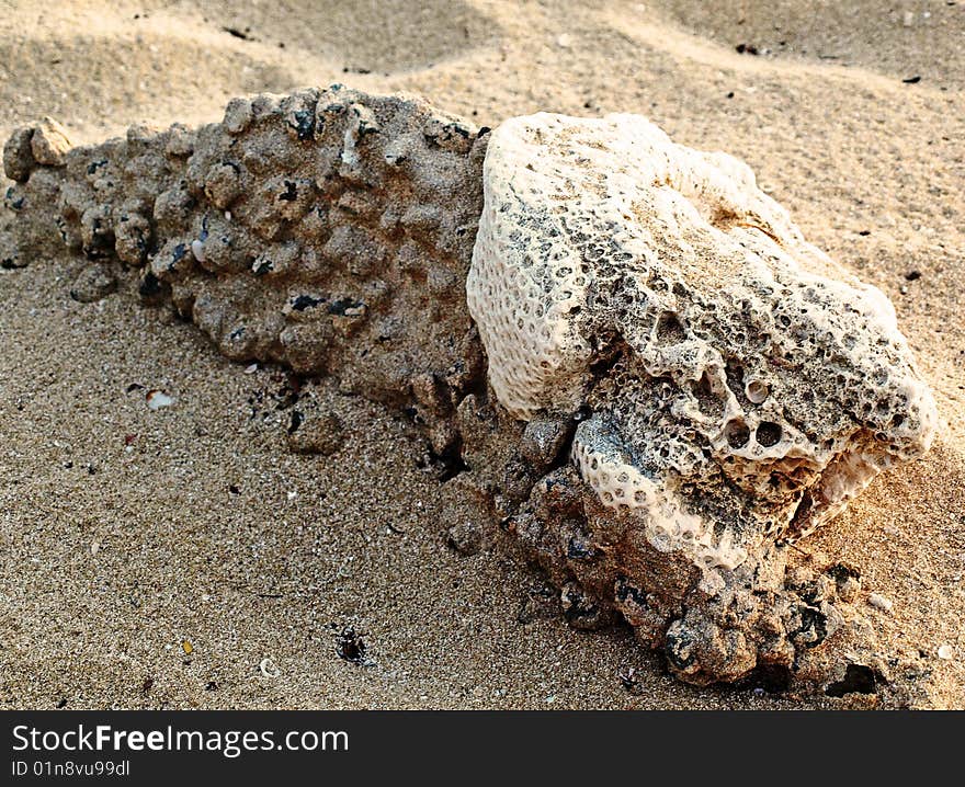 Beachcombing at Hawksbill resort, Antigua. Beachcombing at Hawksbill resort, Antigua