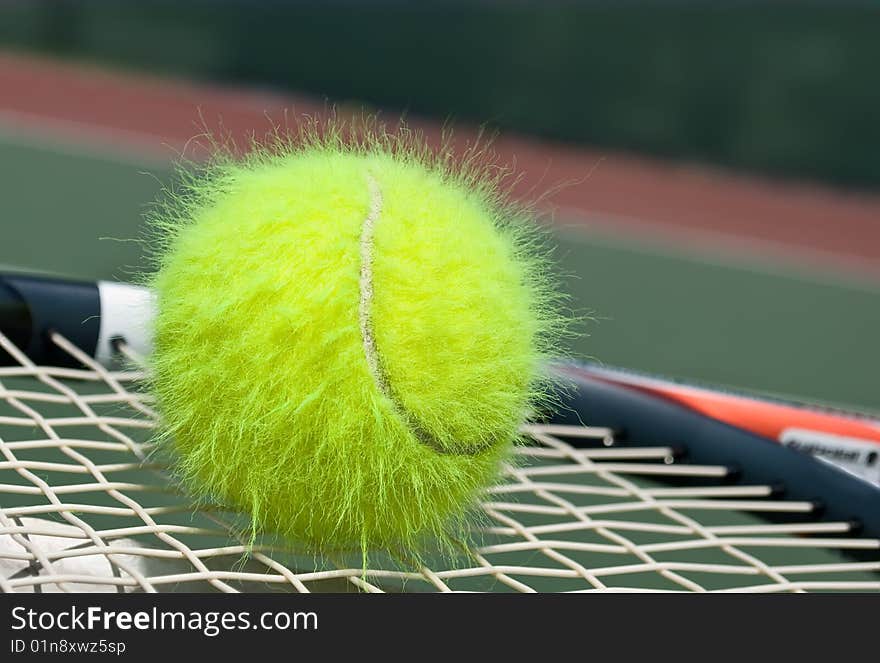 Shaggy Tennis Ball