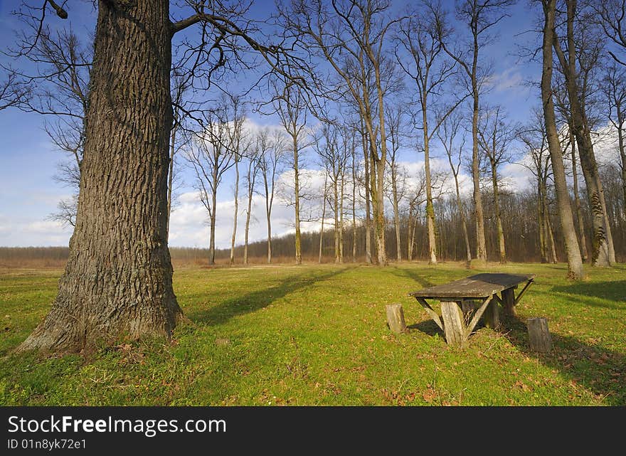 At the foot of oak