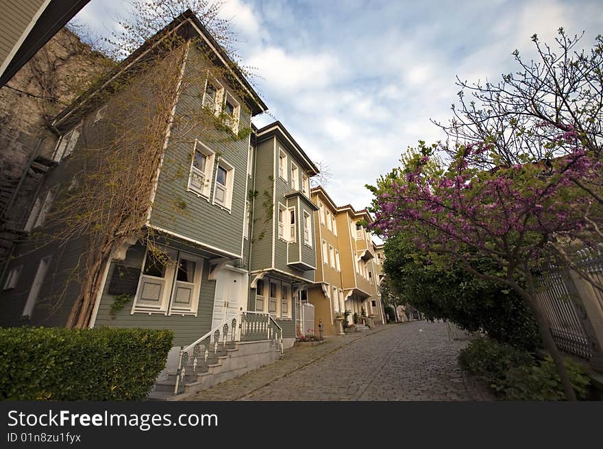 Full blossom Judas tree over cloudy blue sky and house