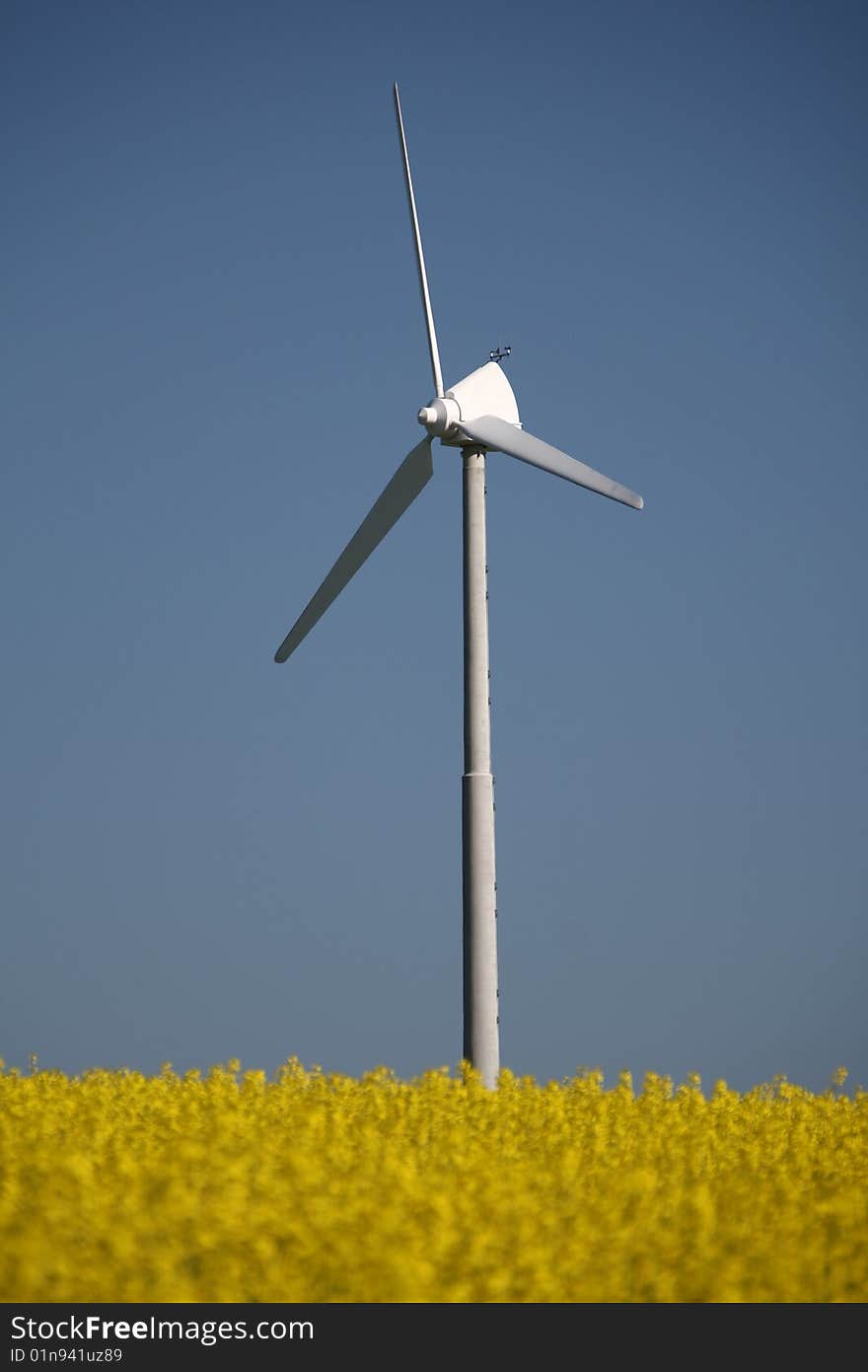 Wind Power