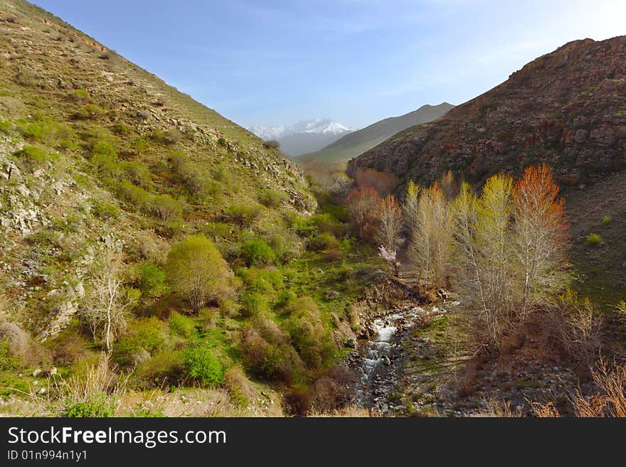 Mountain spring landscape with the river. Mountain spring landscape with the river