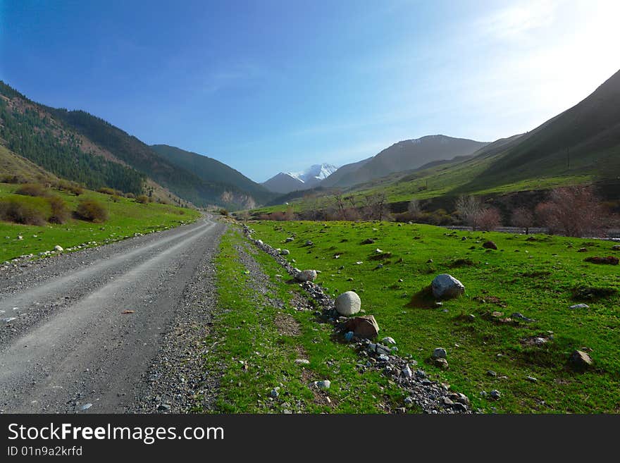 Spring mountain landscape with road