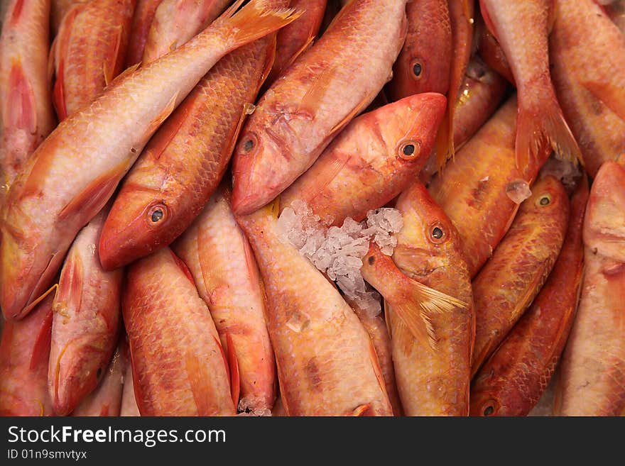 Red fish on ice