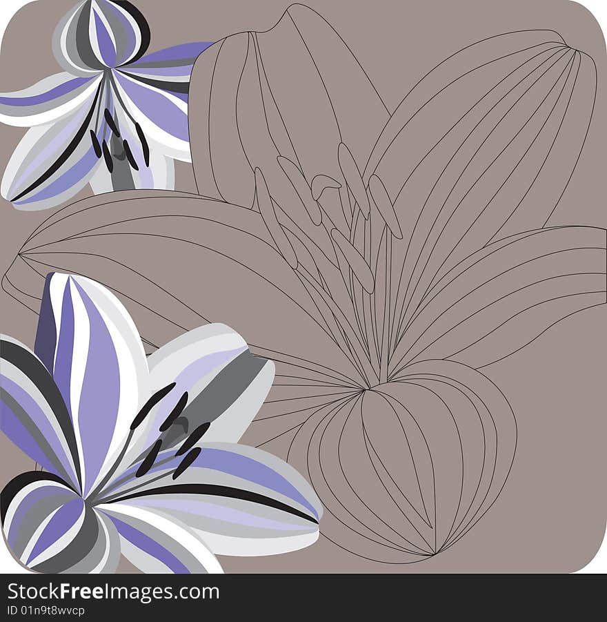 Contur of lilies on a background.