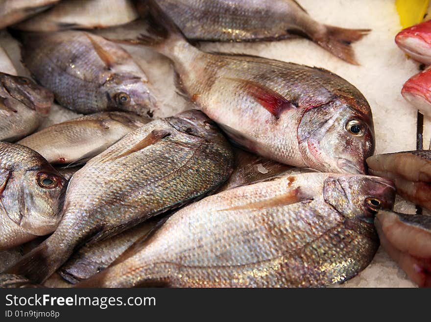 Fish on ice on street market