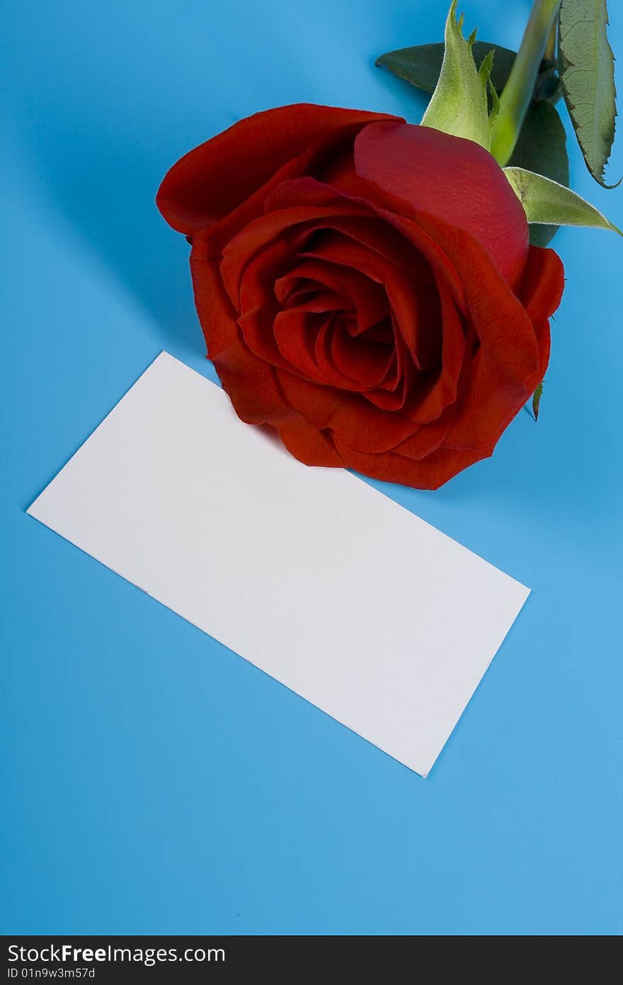 Rose And Card