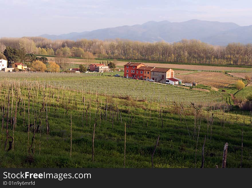 Farm, Tuscany, Italy