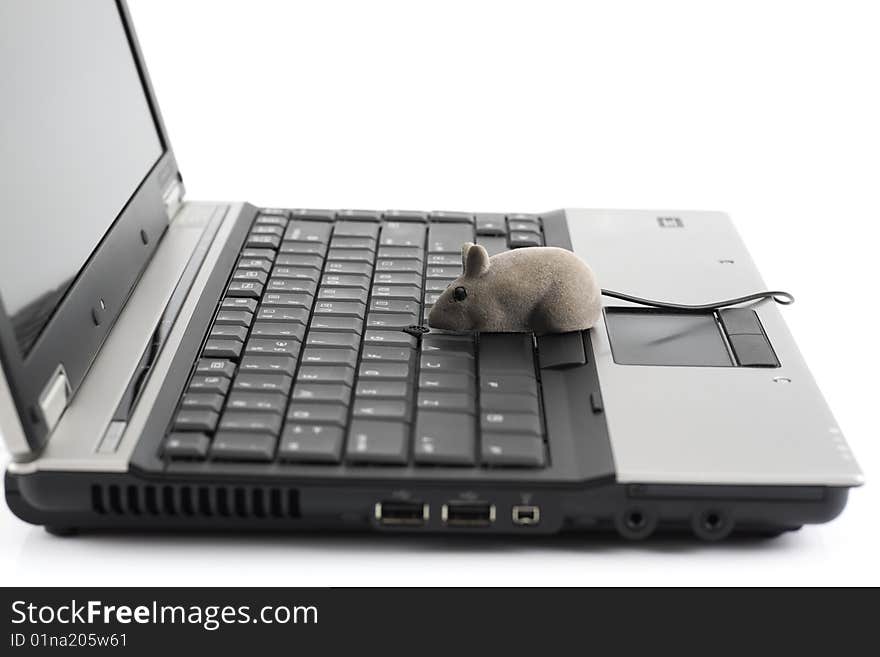 Laptop with toy mouse