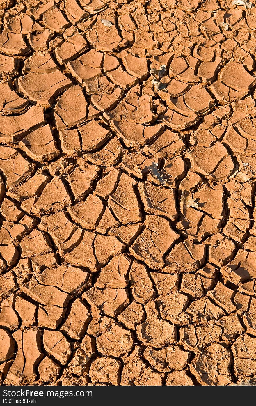 Whimsical drawing on place of the dry puddle. Whimsical drawing on place of the dry puddle