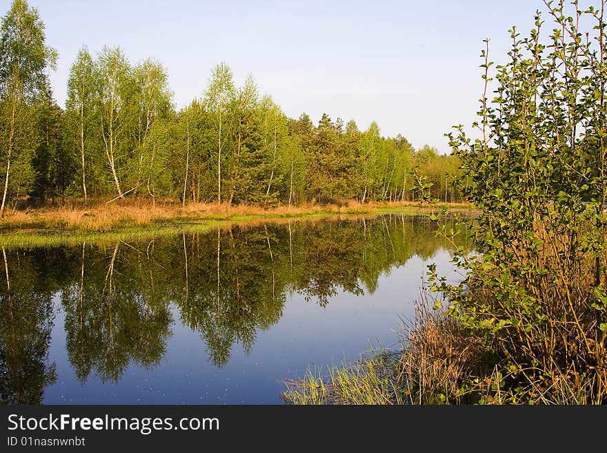 River bank view on spring time. River bank view on spring time