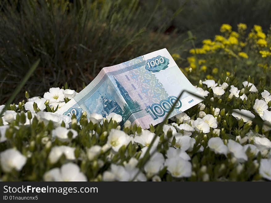 One thousand roubles among colours in a green grass. One thousand roubles among colours in a green grass.