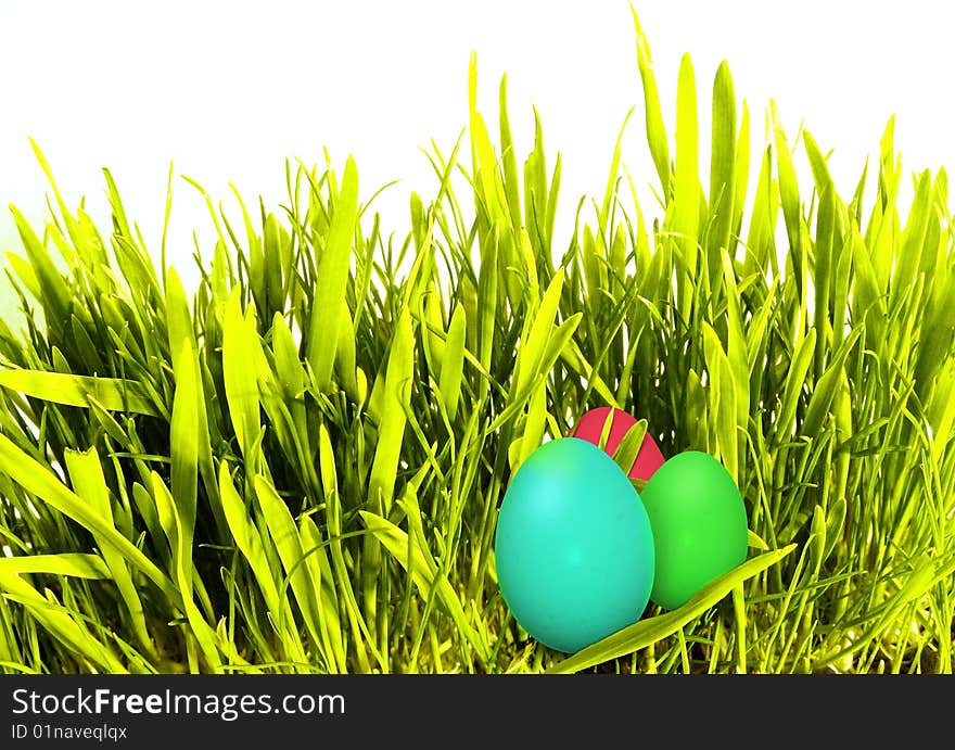 Colored easter eggs in green grass.