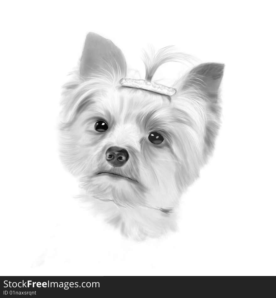 Dog head - handdraw portrait