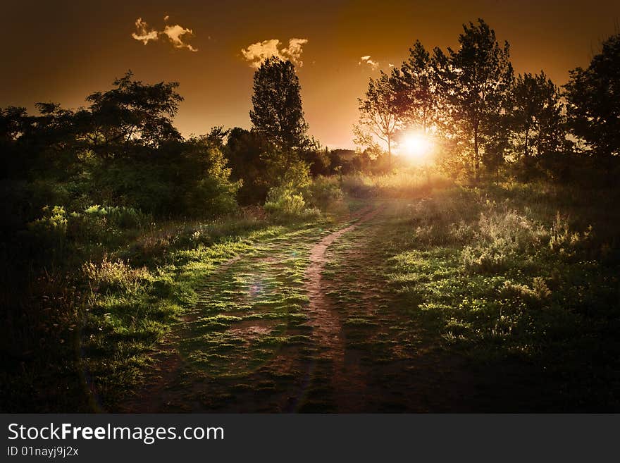 Grassy Field with summer sunset. Grassy Field with summer sunset