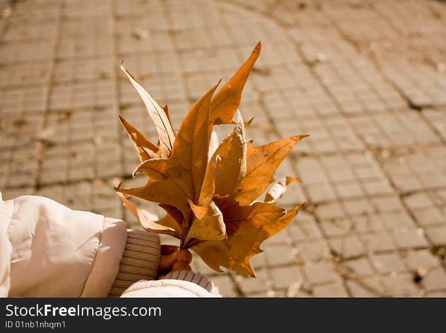 Collection of autumn leafs in child hands