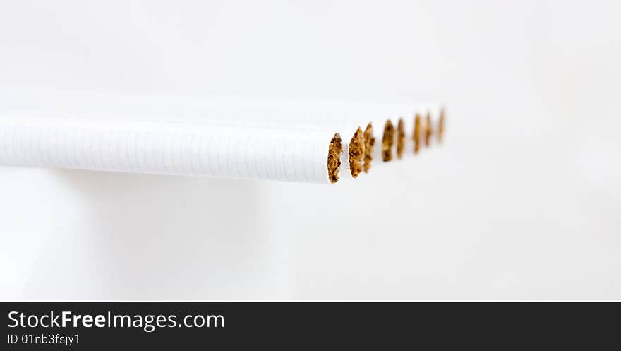 Row of cigarettes on white background