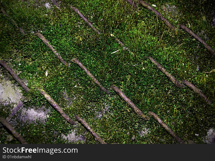 Ancient grass moss grid background