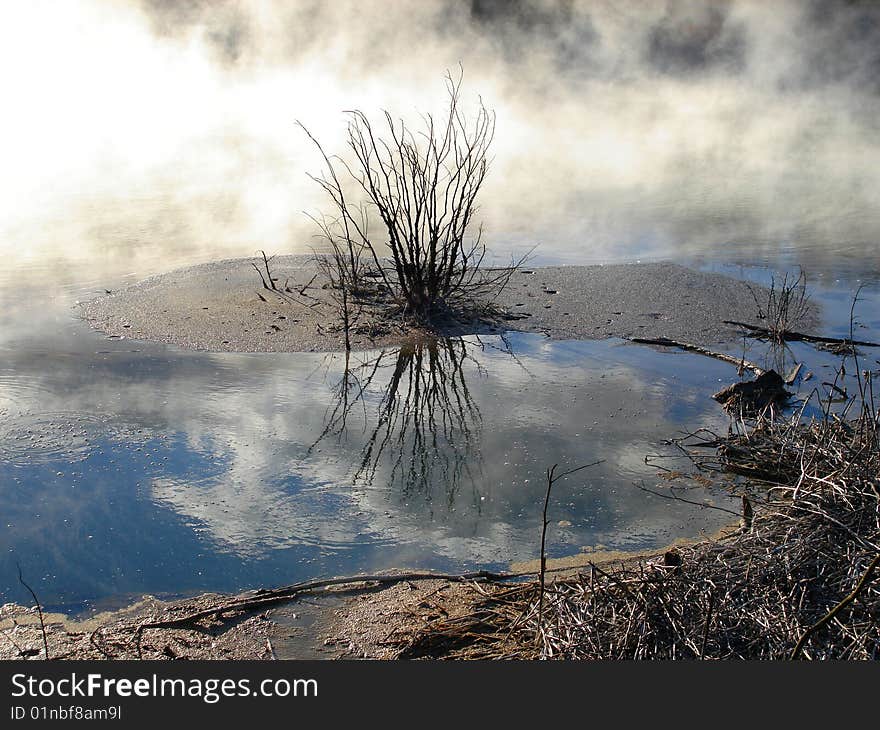 Geothermal activity in Kuirau Park, Rotorua, New Zealand. Geothermal activity in Kuirau Park, Rotorua, New Zealand