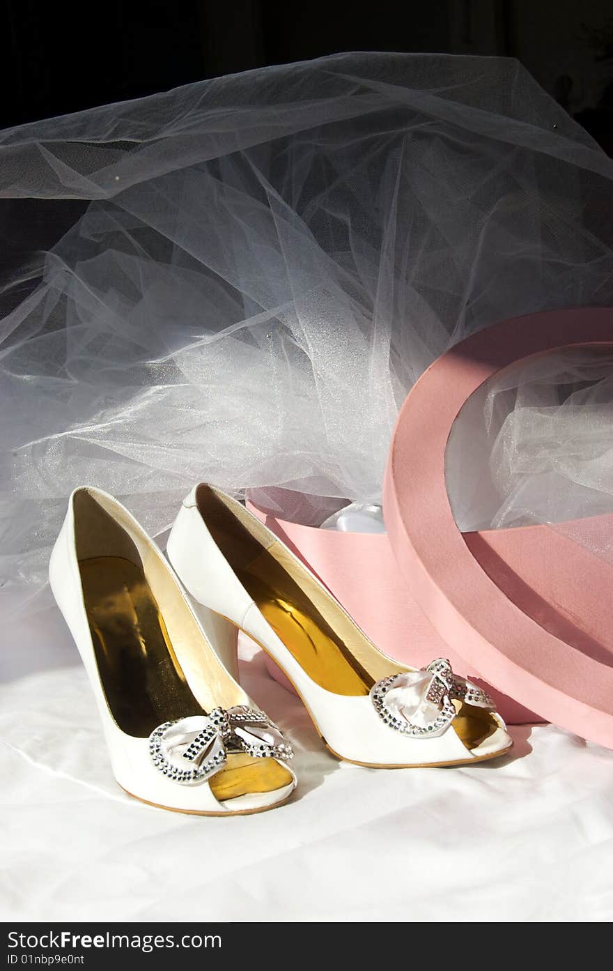 Wedding shoes, box and veil