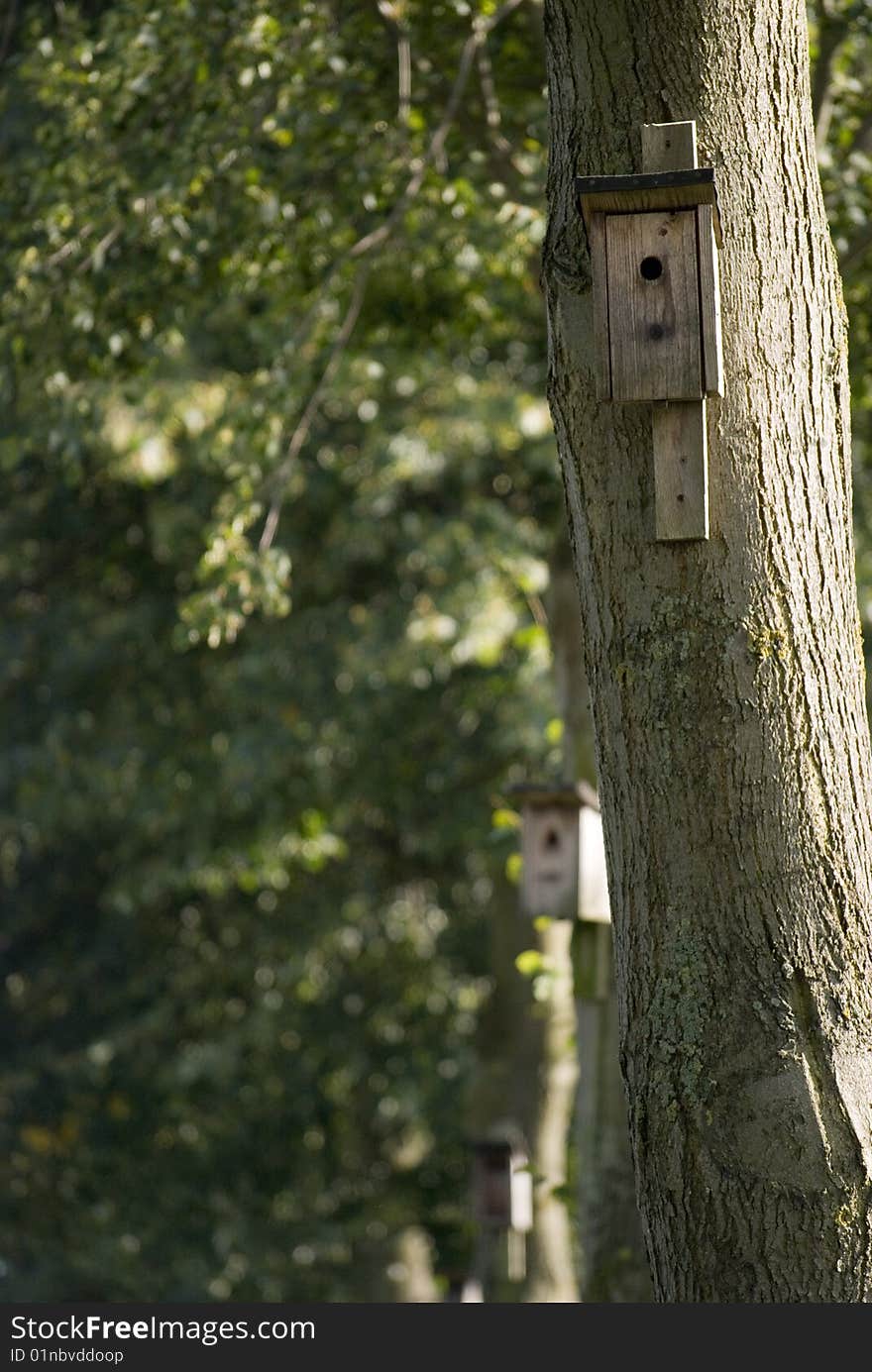 Some bird houses on trees