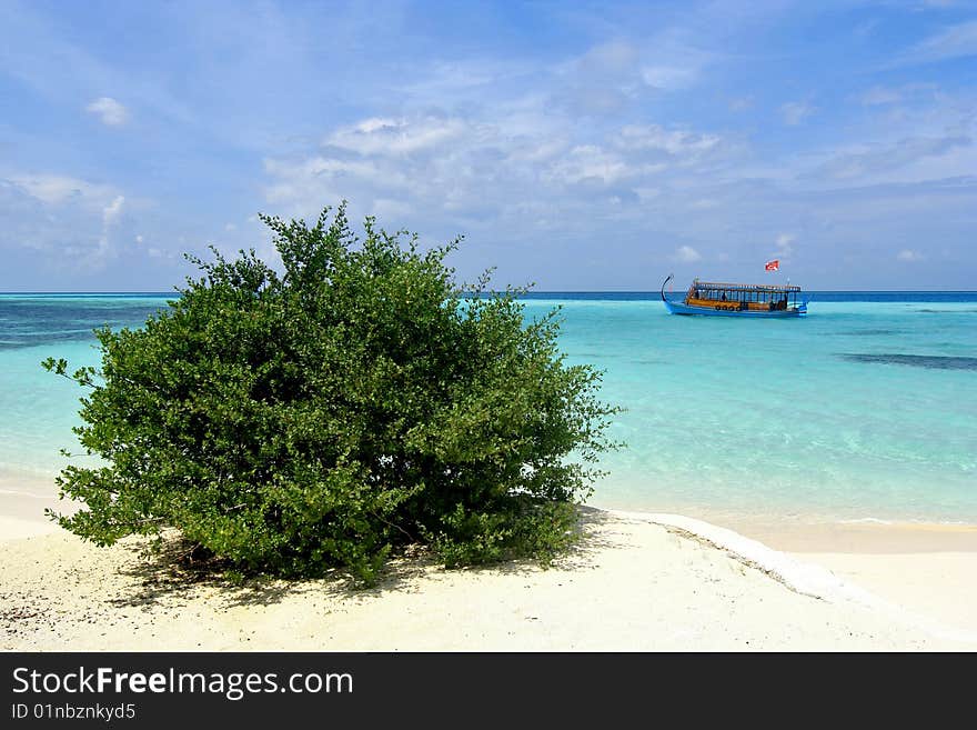 An exotic beach view in Maldives. A green bush in the fore ground and a boat at the background. An exotic beach view in Maldives. A green bush in the fore ground and a boat at the background.