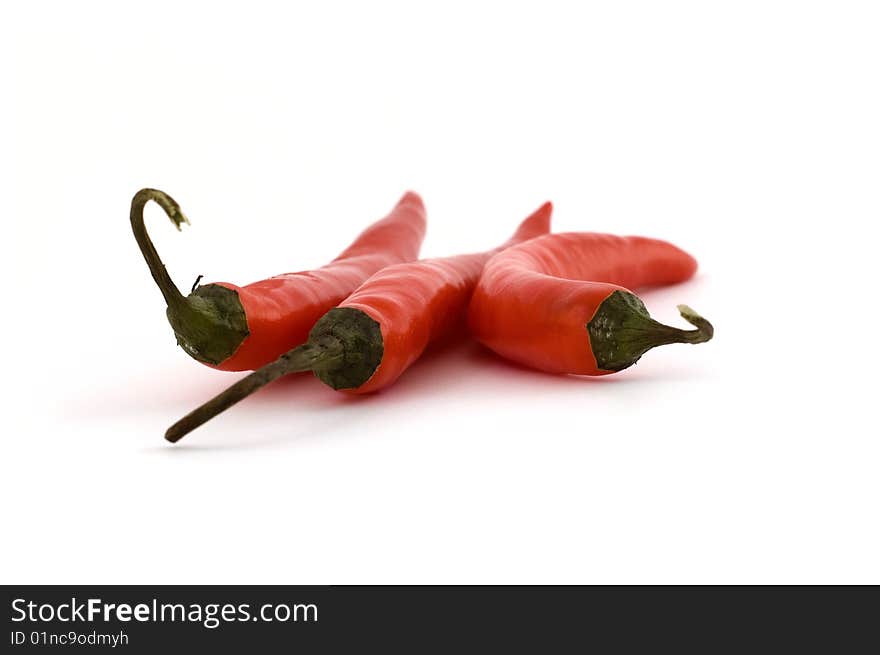 Three chili peppers in close up at isolated white background